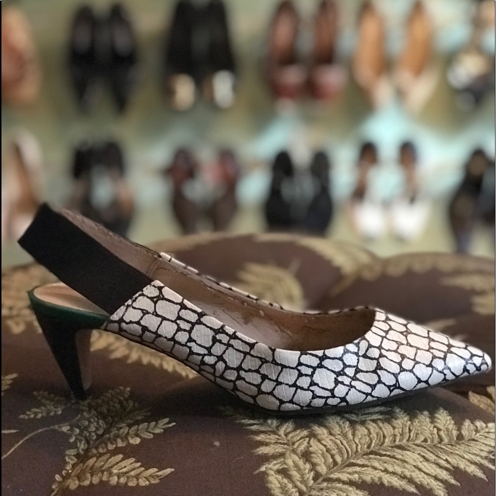 French Connection Kourtney animal print kittens